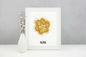 the bura store, kreativni posteri, hrvatski dizajn